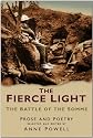 The Fierce Light: The Battle of the Somme July - November 1916