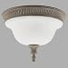 Progress Lighting P3740-40 Van Buren Millstone Three Light Close-to-Ceiling Fixture