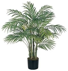 Areca Palm Silk Tree 3'