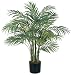 Areca Palm Silk Tree 3'