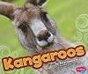 Kangaroo