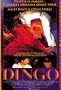 Dingo