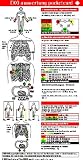  : EKG Set: EKG Auswertung pocketcard
