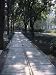 Crystal Glass Walkway Marking Spot of Indira Gandhi's Assassination, Akbar Road, India Places Photographic Poster Print by John Henry Claude Wilson, 12x16