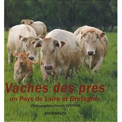Vaches des pr�s en Pays de Loire et Bretagne