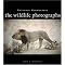 More Coffee Table Books About Animals