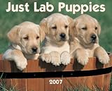 Just Lab Puppies 2007 Calendar (Just)