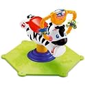 Bounce & Spin Zebra