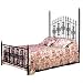 Gothic Gate Bed with Frame Metal Finish: Aged Iron, Size: Twin