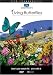  : Living Butterflies DVD