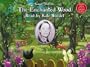 Enid Blyton's the Enchanted Wood (Faraway Tree)