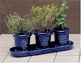 French Country Herb Trio
