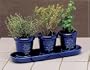 French Country Indoor Herb Garden Trio Gift Set