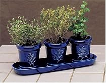 French Country Indoor Herb Garden Trio Gift Set