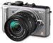 Panasonic Lumix DMC-GF1 12.1MP Micro Four-Thirds Interchangeable Lens Digital Camera with 14-45mm Lens (Silver) + WSP Deluxe Camera Tripod.