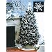 White Christmas in Thread Crochet (Leisure Arts #3232)