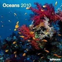 2010 Oceans Wall Calendar