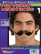 Full Winged Moustache in Black