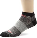 Darn Tough Vermont Merino Wool No Show Mesh Sock