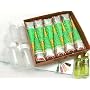 Beachcombers! Henna Tattoo 10 Pre Mixed Paste Cone Party Pack w/Oil & Fine Metal Tip Applicator Bottles