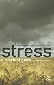 Helping Young People to Beat Stress: A Practical Guide