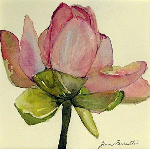 Pink Lotus, Giclee Print from Watercolor Flower Painting, 9 X 9 Inch Image