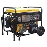 6875 Watt Electric Start Generator Dual Fuel Generator