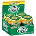 Eclipse Gum Spearmint BigEPak - Total: 240 ct (4 X 60 ct)
