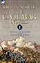 The Civil War Novels: 1-The Guns of Bull Run & The Guns of Shiloh