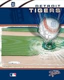 Detroit Tigers Team Portfolio
