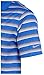 Nike Golf Mens Tech Vent Stripe Polo Shirt