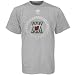 adidas Miami Heat Ash Locker Room Classics Vintage T-shirt