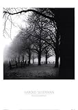Black And White Morning Art Poster PRINT Harold Silverman 20x28