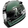Arai Thrill Vector 2 Street Bike Racing Motorcycle Helmet - Green