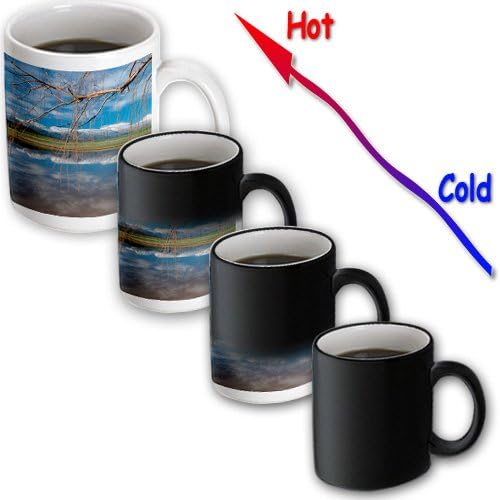 Danita Delimont - Lakes - Winter reflections. Ceres, Boland district, South Africa. - 11oz Magic Transforming Mug (mug_205580_3)