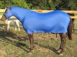 Lycra Full Body Sheet
