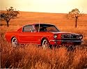 1965 Red Ford Mustang Fastback Print POSTER muscle car - 20" x 16"
