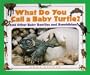 What Do You Call a Baby - Turtle? And Other Baby Reptiles and Amphibians