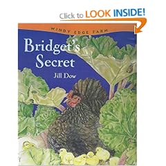 Bridget's Secret (Herries Chronicles)