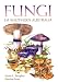 Book Fungi of Southern Australia