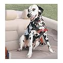 Covercraft RO1406 Pet Restraint