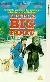 Little Big Foot [UK IMPORT] - Ross Malinger