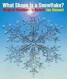 What Shape is a Snowflake?