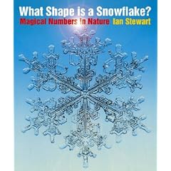 What Shape Is A Snowflake?
