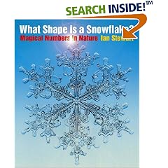 What Shape is a Snowflake?