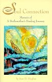 cover of Soul Connection: Memoir of A Birthmother's Healing Journey