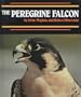 Peregrine Falcon,The (Endangered in America)