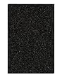 Hamilton Beach 04923 TrueAir Replacement Carbon Filters for 04162, 04163 & 04152 Air Cleaners,