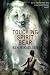Touching Spirit Bear