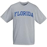 Florida Gators Ash Horizontal Arch Logo T-shirt